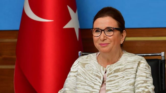 Sahte Yetkili Servislere Karşı 'SERBİS' Devrede - RayHaber