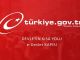 e-Devlet Miras Sorgulama Nasıl Yapılır? - RayHaber