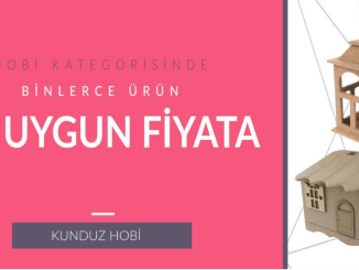 Yepyeni Hobiler Edinme Zamanı - RayHaber
