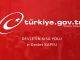 E-Devlet Üzerinden Sunulan Nüfus Hizmetleri - RayHaber