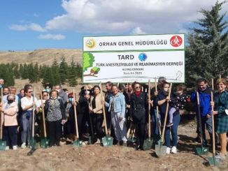 Covid-19 Nedeniyle Hayatını Kaybeden Sağlık Çalışanları Anısına Hatıra Ormanı - RayHaber