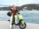 Paylaşımlı Elektrikli Araç Platformu GO Sharing Şimdi Türkiye'de! - RayHaber