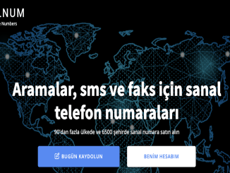 Güvenliğinizden Ödün Vermeden Çevrimiçi SMS Alma İpuçları - RayHaber
