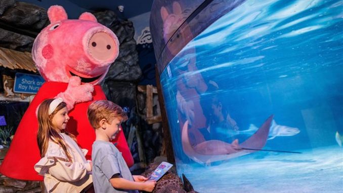 Peppa Pig, Türkiye’de İlk Defa SEA LIFE İstanbul’da - RayHaber