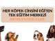 Antalya Köpek Eğitim Çiftliği - RayHaber