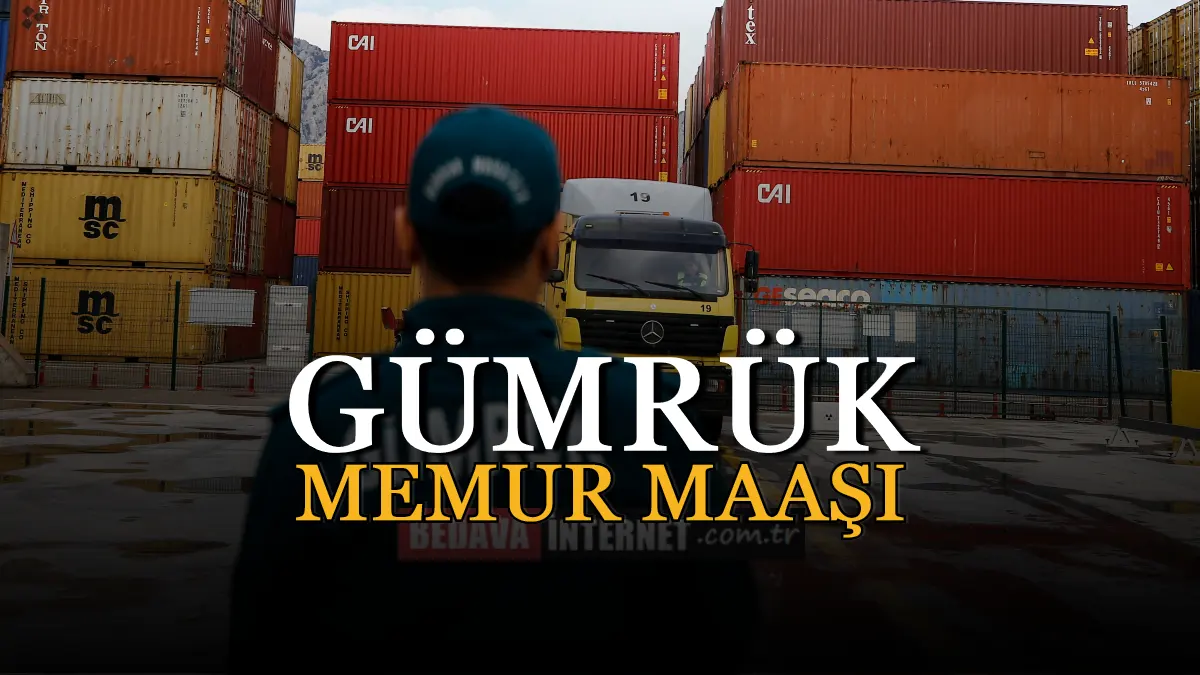 Customs Officer Salary 2023 (Customs Enforcement Officer Salary)