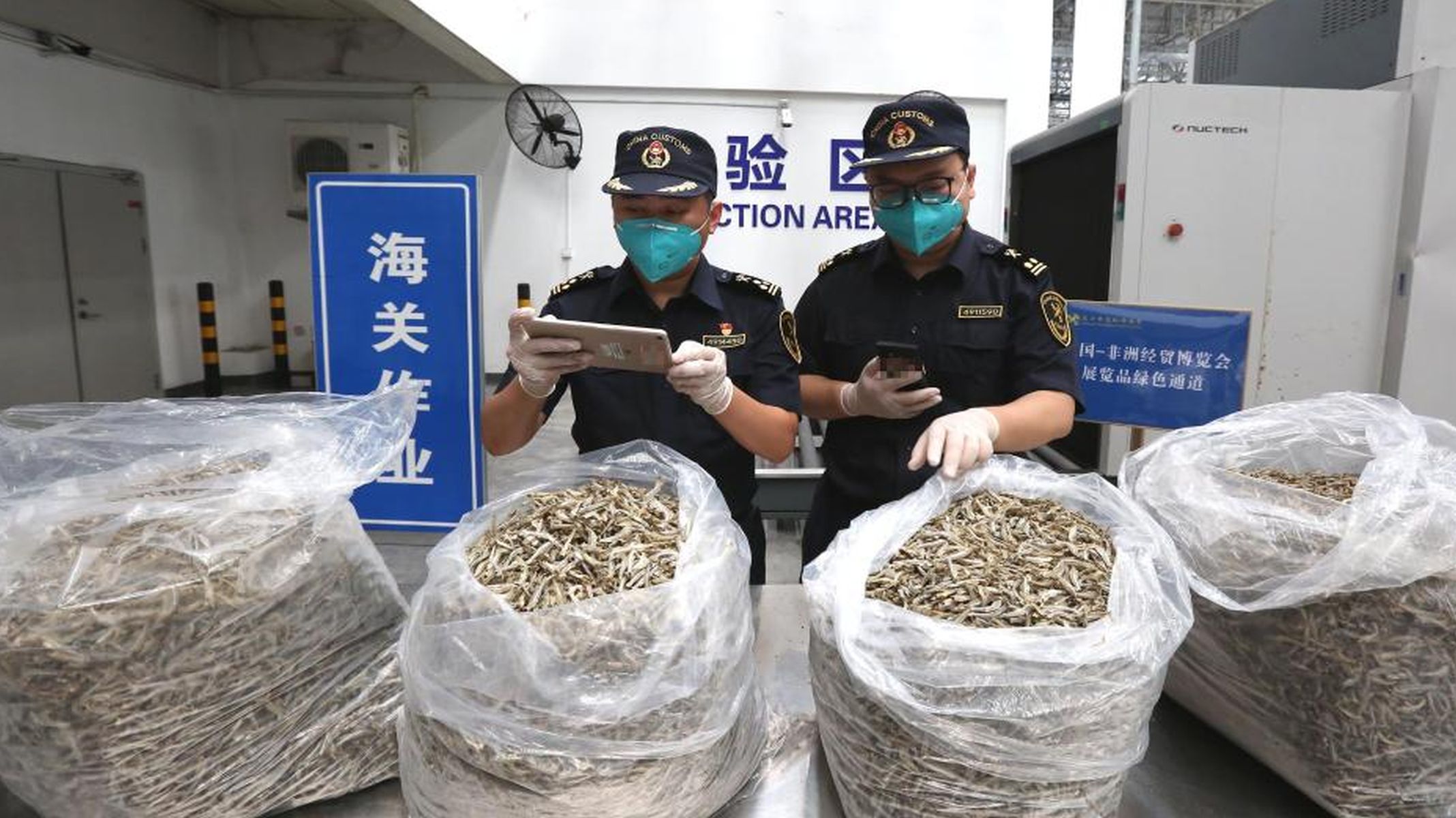 China Imported Anchovy From An African Country For The First Time