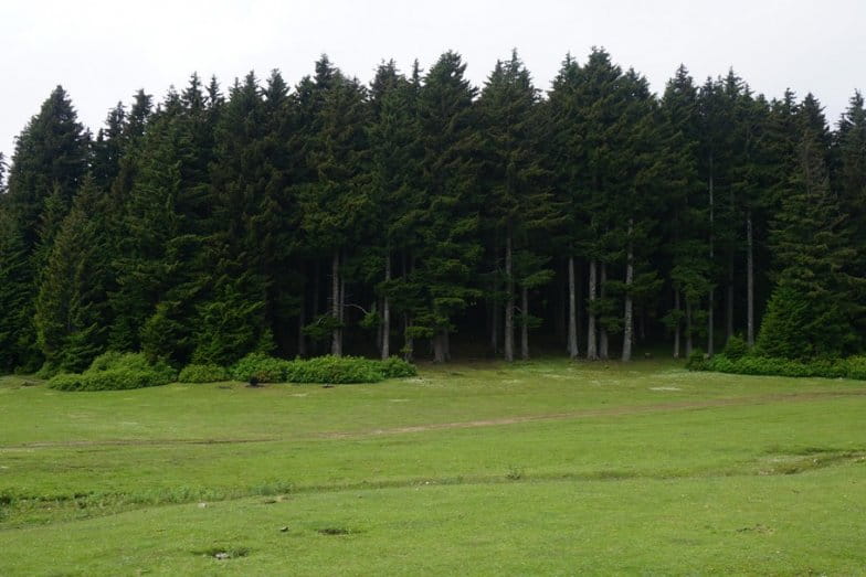 Giresun Piknik Yapılacak Yerler | Giresun Piknik Alanları - RayHaber