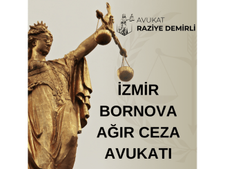 İZMİR BORNOVA AĞIR CEZA AVUKATI: HUKUKİ SÜREÇLER VE AVUKATIN ROLÜ - RayHaber