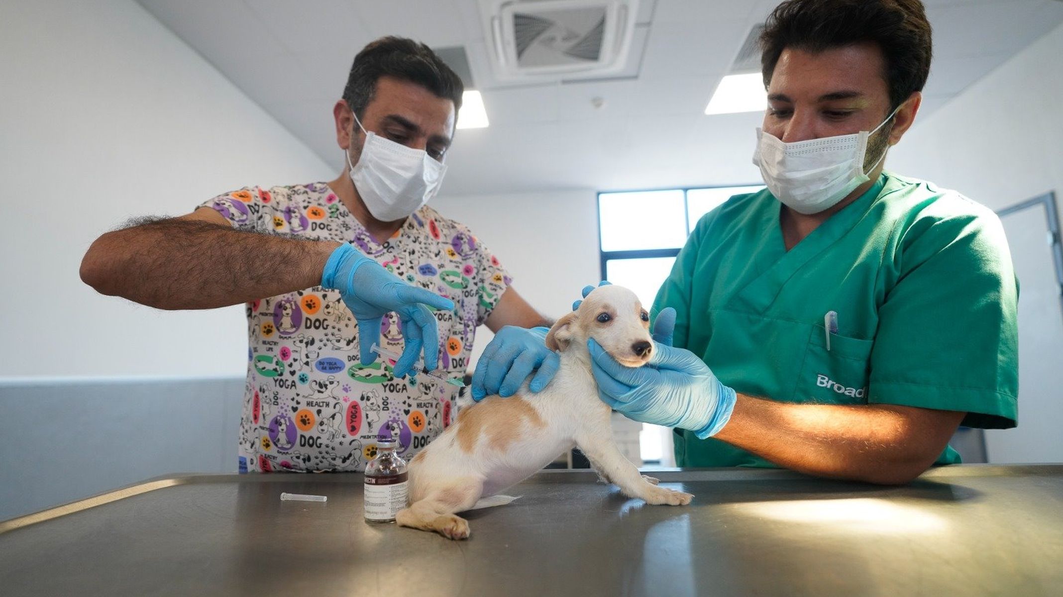 Modern Hospital for Stray Animals in Izmir