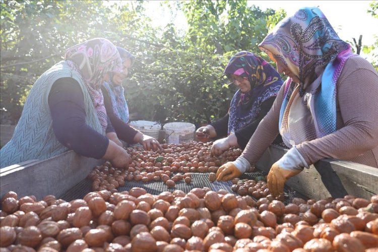 İnegöl’de 2023 Senesi 'Tarım Yılı' Oldu - RayHaber