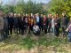 Muğla Milletvekili Özcan: "Bu Sene Limon Dalında Kaldı" - RayHaber