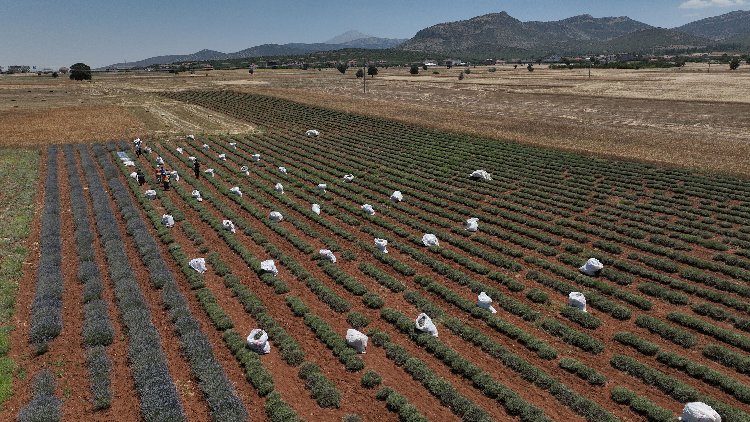 Başkan Altay 14 Mayıs Dünya Çiftçiler Günü’nü Kutladı - RayHaber