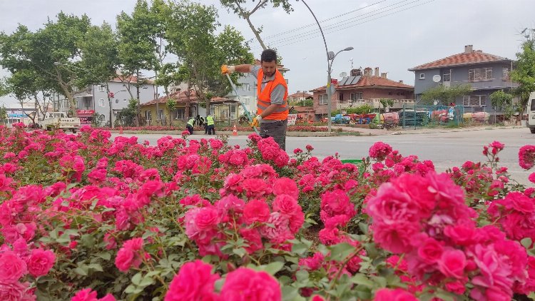 Yenişehir'in Vitrini Çiçek Açacak - RayHaber
