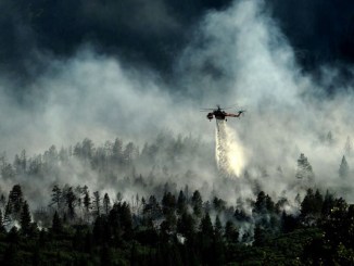 Muğla'da Orman Yangını - RayHaber