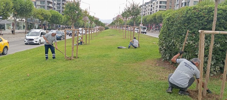 Bursa'da Yeşil Alanlara Estetik Dokunuş - RayHaber