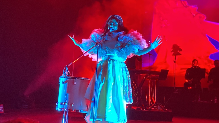 Tunuslu Sanatçı Emel Mathlouthi'den Bursa'da Harika Konser - RayHaber