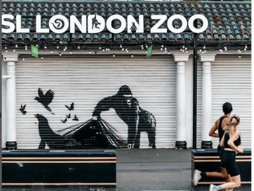 Londra Hayvanat Bahçesi, Banksy'nin Duvar Resmini Kaldırıyor - RayHaber