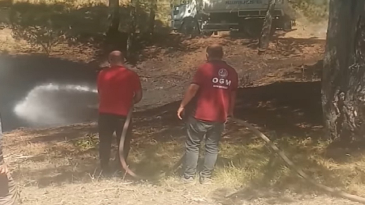 Bilecik'teki Orman Yangını Korkuttu - RayHaber
