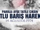MSB'den  'Mutlu Barış Harekatı' Paylaşımı - RayHaber