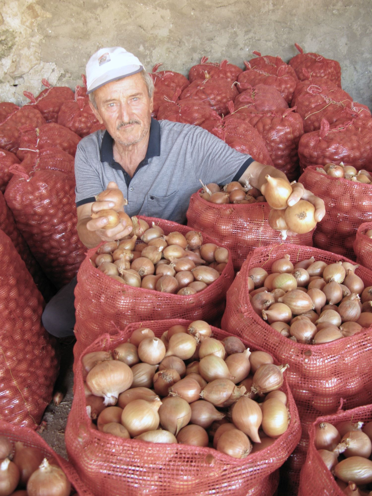 Yenişehirli Çiftçiler Umduğunu Bulamadı - RayHaber