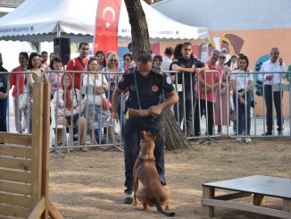 Bursa’da Sokak Hayvanları İçin Bilgilendirici Program - RayHaber
