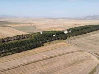 Kars'taki Benliahmet Tren İstasyonu, Eylül Ayında Doğayla Buluştu - RayHaber