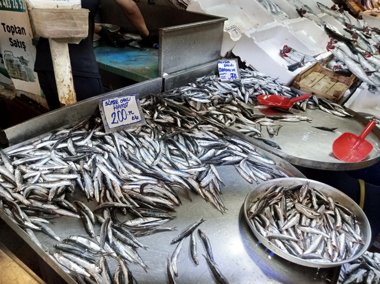 Bursa'da Balık Sezonu Hareketleniyor - RayHaber