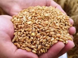 Gülek Nedir? Gülek Ne Anlama Geliyor? - RayHaber