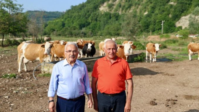 Ordu’da Besicilere 5’li Karışım Kaba Yem Tohumu Desteği - RayHaber