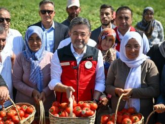 Türkiye Domates Üretiminde Dünyada Üçüncü Sırada - RayHaber