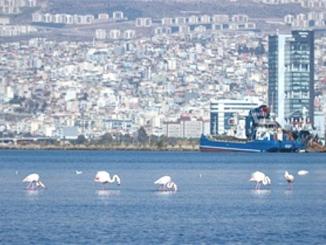 İzmir Kiraları 20 Kat Arttı - RayHaber