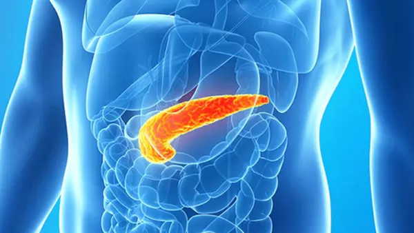Pankreas Kanserinde mRNA Aşısı: 6 Yıl Durdurdu - RayHaber