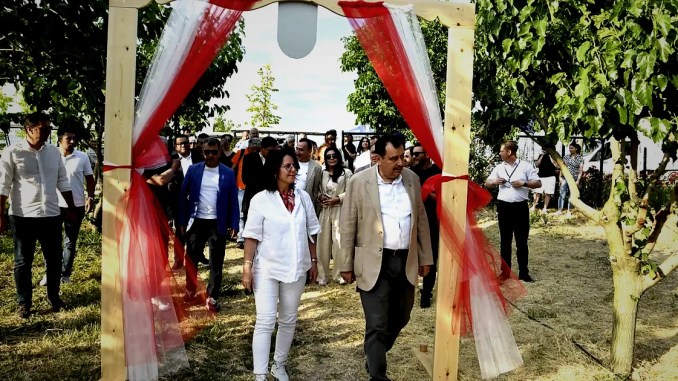 Ata Çiftliği’nde İlk Dut Toplandı - RayHaber