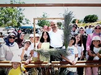 Çayırova’da Lavanta Hasadı - RayHaber