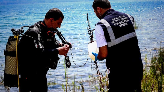 Sapanca'daki Alg Oluşumu Mevsimsel - RayHaber