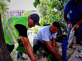 Buca'da Sokak Hayvanlarına Can Suyu - RayHaber