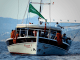 38. The Bodrum Cup’ta Şampiyon Danıel 1 Oldu - RayHaber